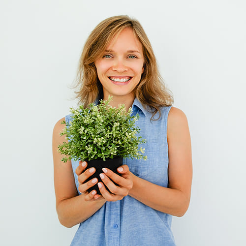 Plants