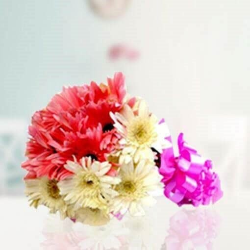 Twin color Gerbera Fantasy