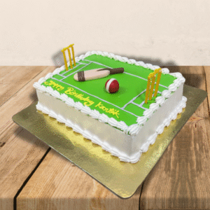 Cricket Pitch Theme Cake